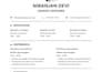 optimize linkedin profile to attract investors and clients,resume and CV